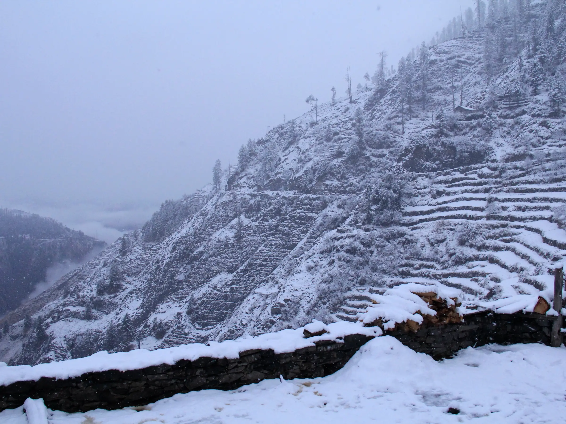 Snow-covered terraced fields and a stone wall in the Tundah Wildlife Sanctuary area near the start of the trek, with mist in the valley