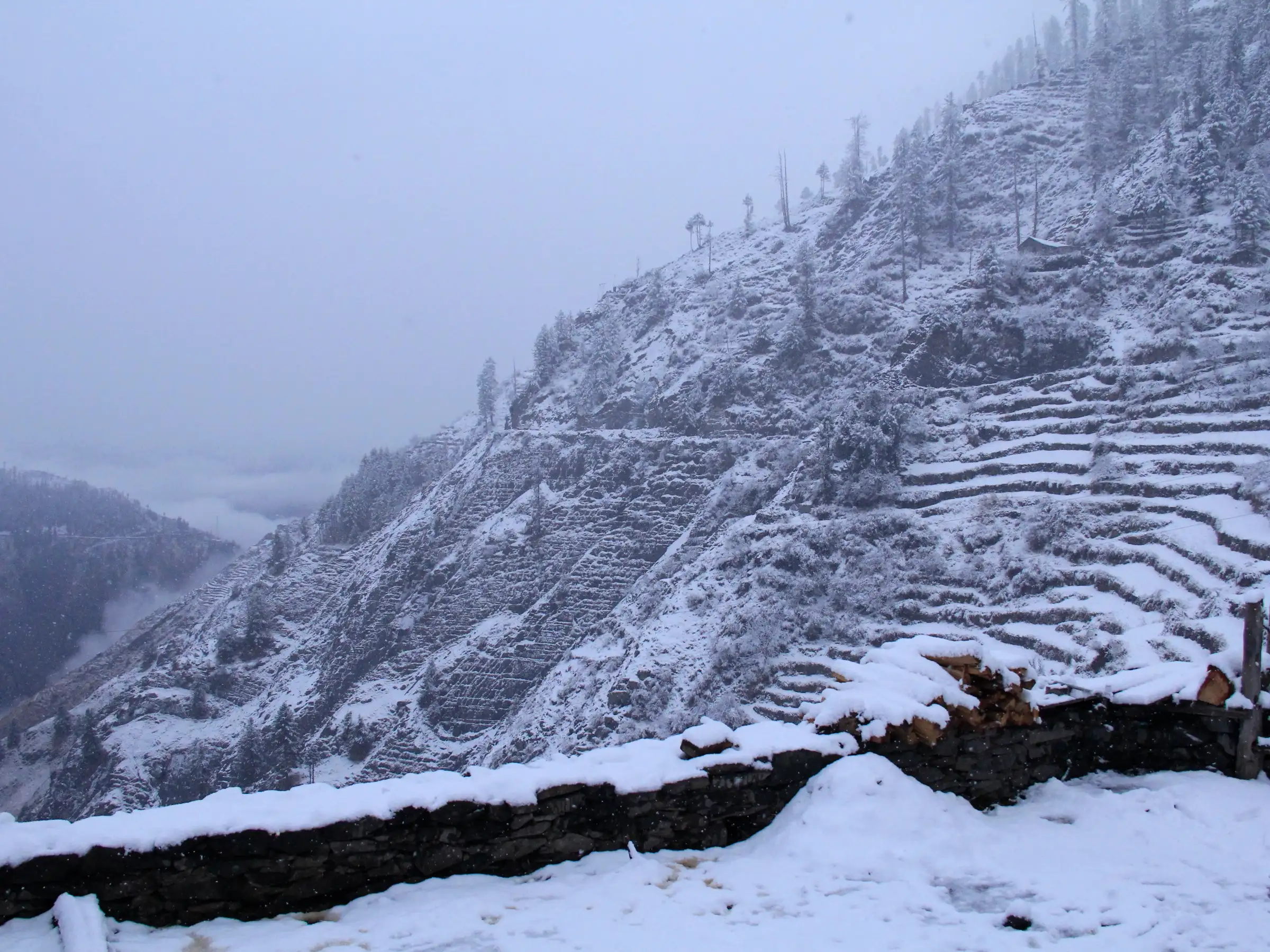 Snow-covered terraced fields and a stone wall in the Tundah Wildlife Sanctuary area near the start of the trek, with mist in the valley
