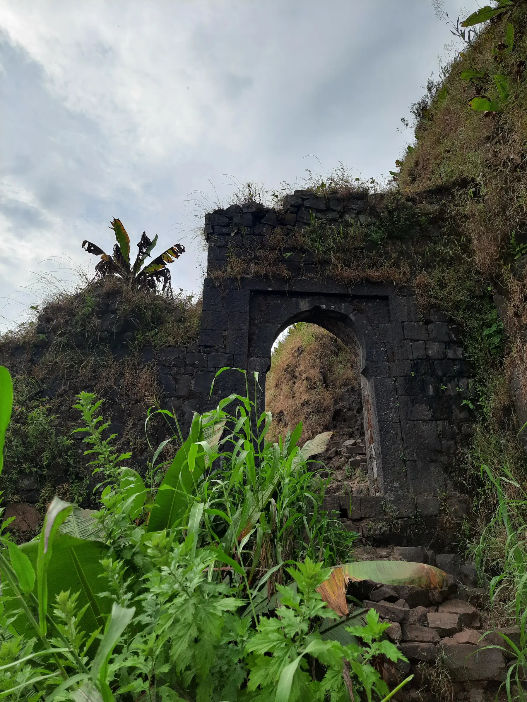 An arched black-stone gateway in the walls of Tung Fort, overgrown with grass and plants