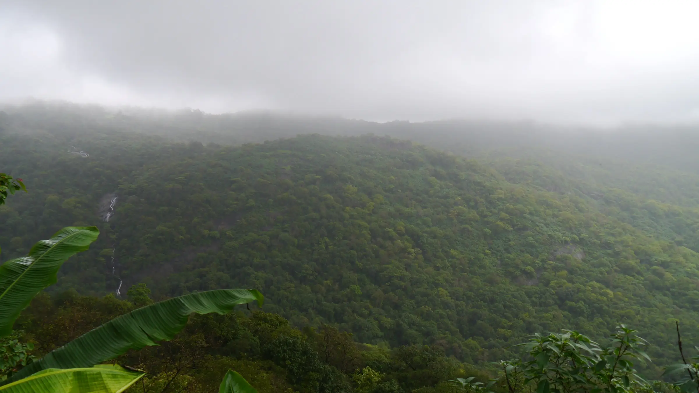 Mist over a green valley in Tungareshwar Wildlife Sanctuary with a thin waterfall on the far slope