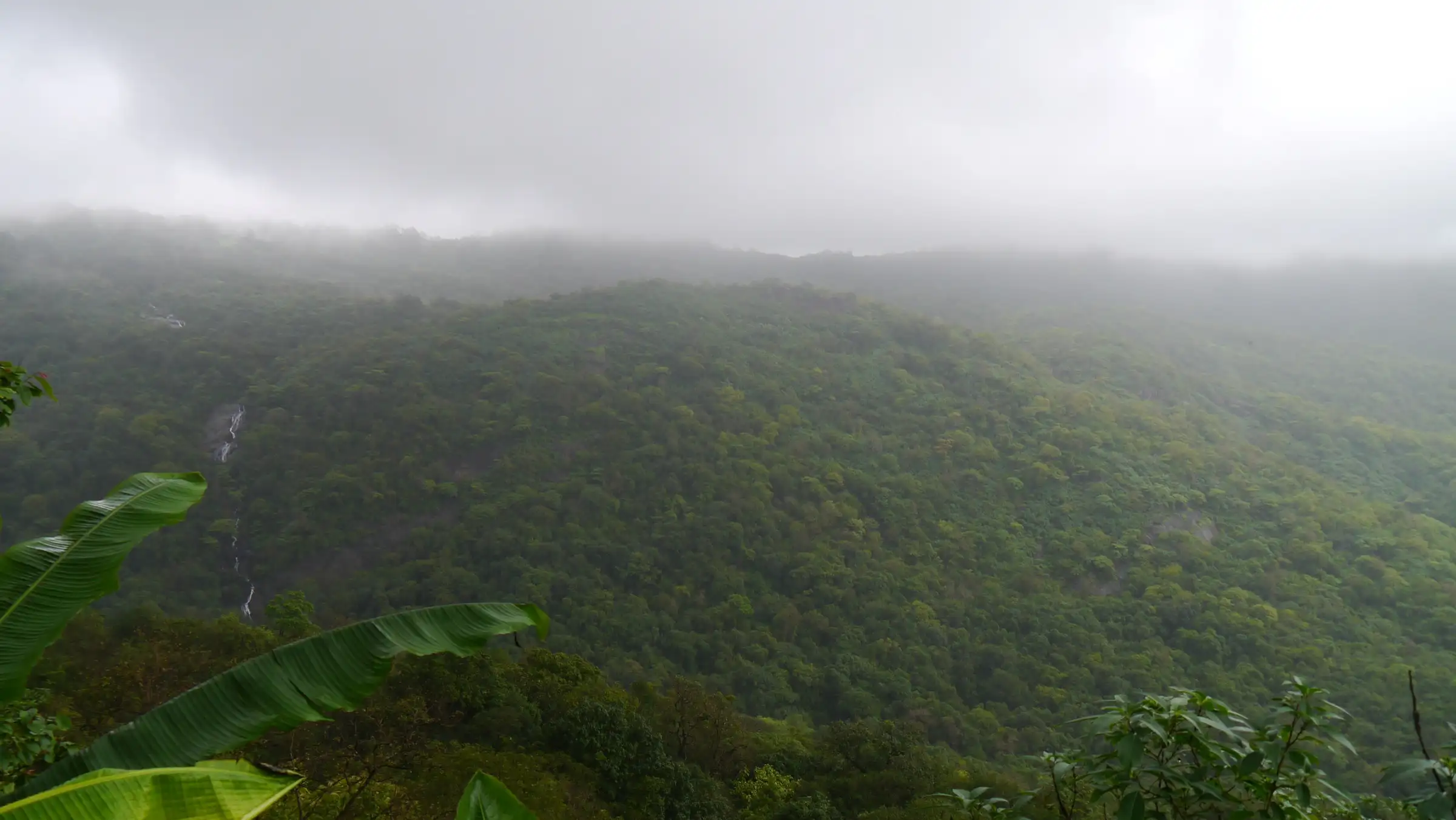 Mist over a green valley in Tungareshwar Wildlife Sanctuary with a thin waterfall on the far slope