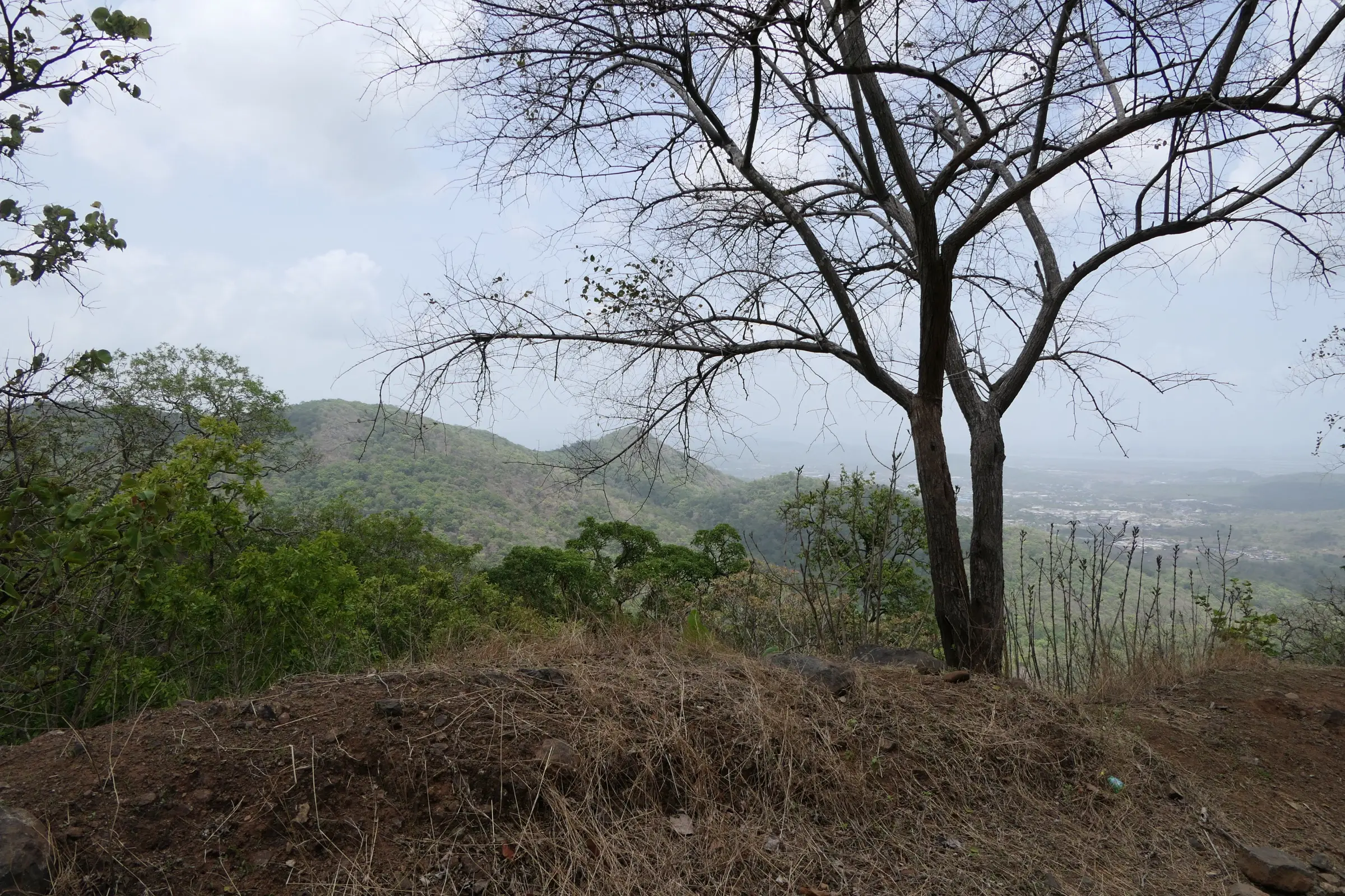 View from a dry hillside in Tungareshwar Wildlife Sanctuary across forested ridges towards the plains