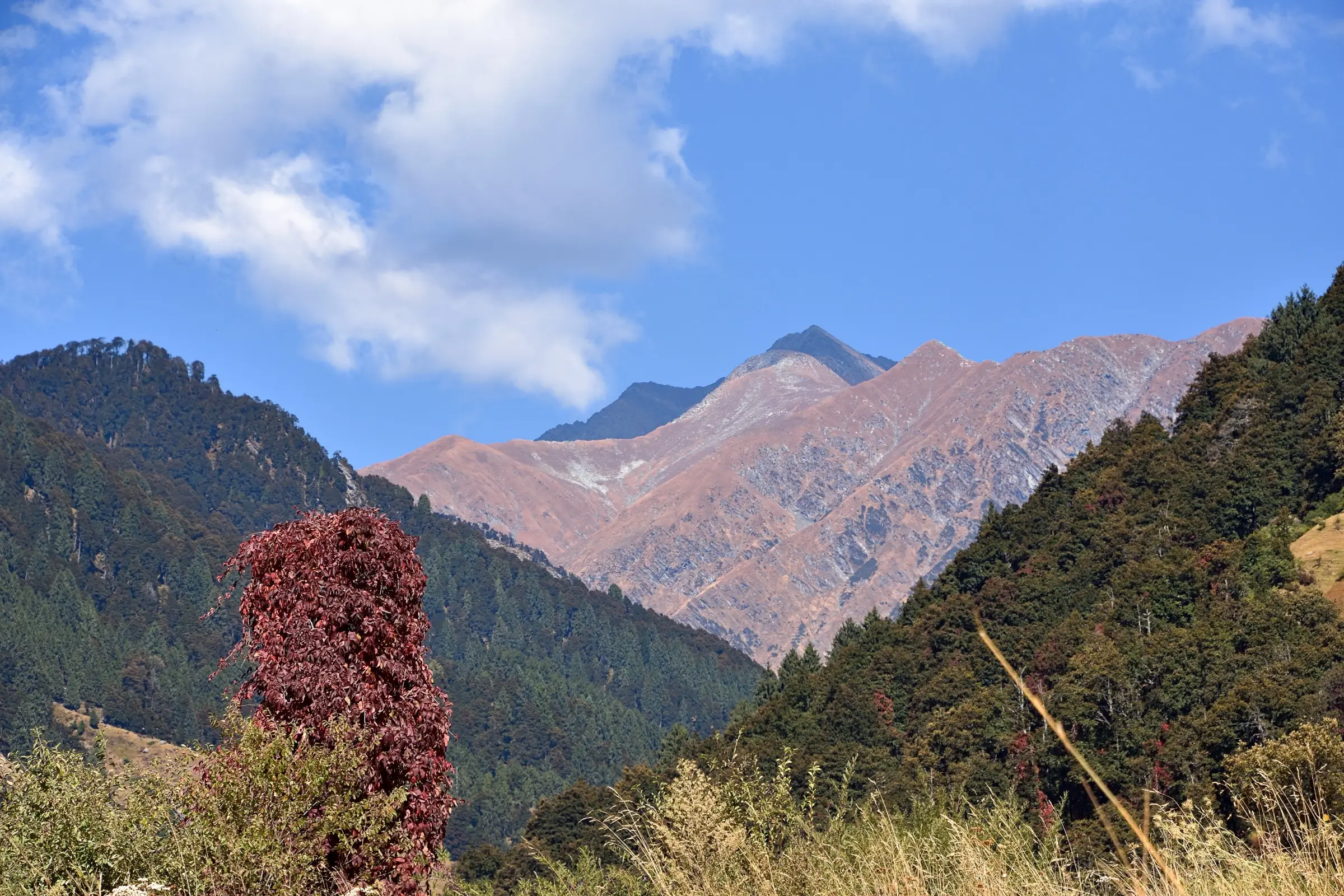Autumn colours and bare Dhauladhar peaks in the Uhl valley upstream of Baragram, near the Rajgundha end of the trek