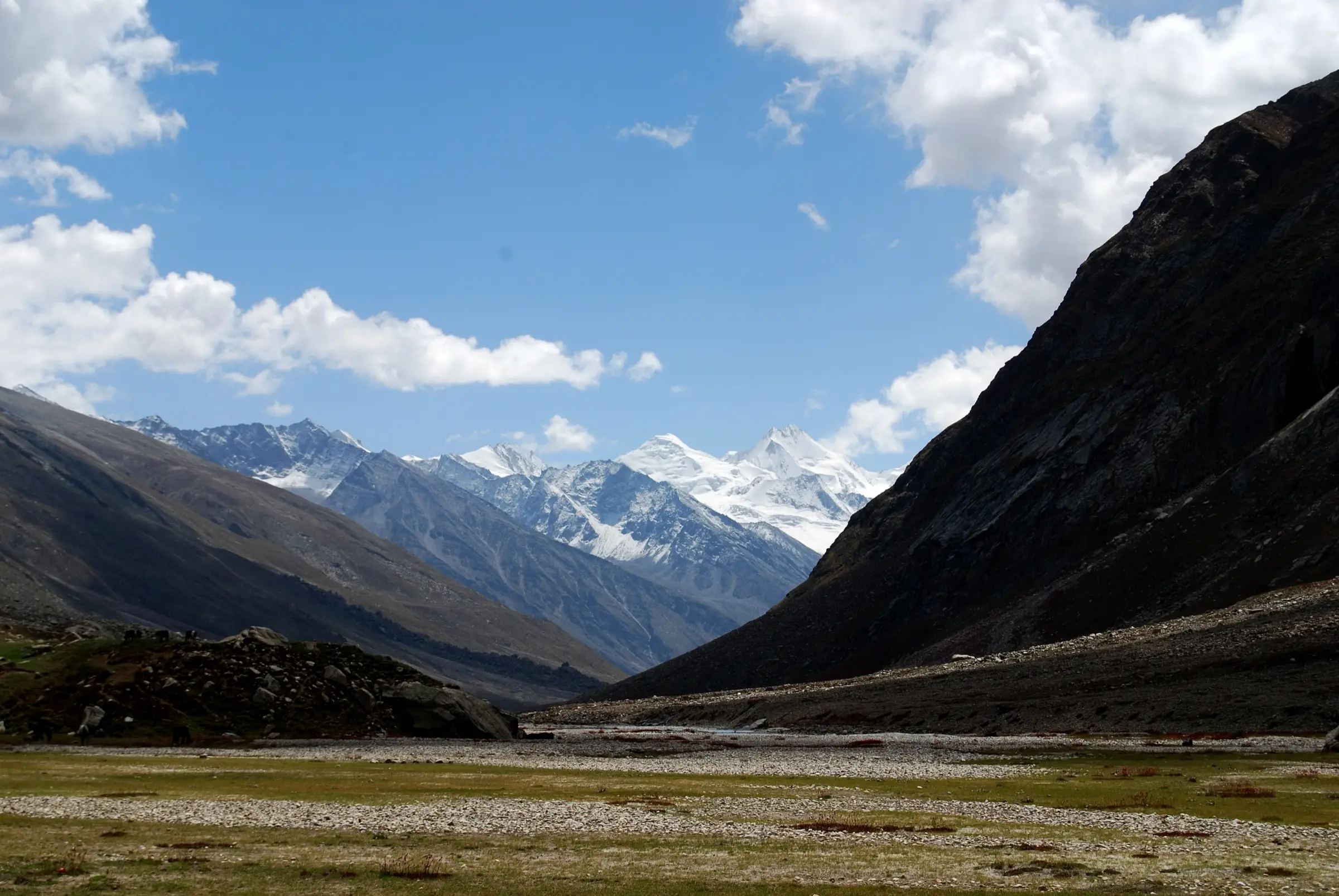 Gravel river flats and grassy meadow below snow peaks in the upper Miyar Valley, Lahaul (location from the photo's geotag)