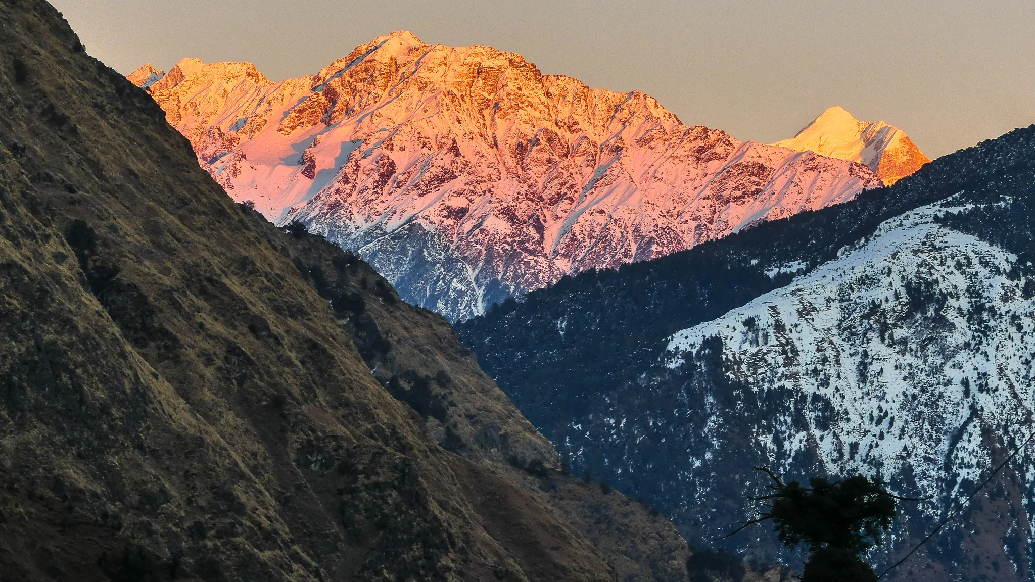 Snow peaks glowing pink at sunset above the dark, steep slopes of the Urgam valley, the approach to Bansi Narayan