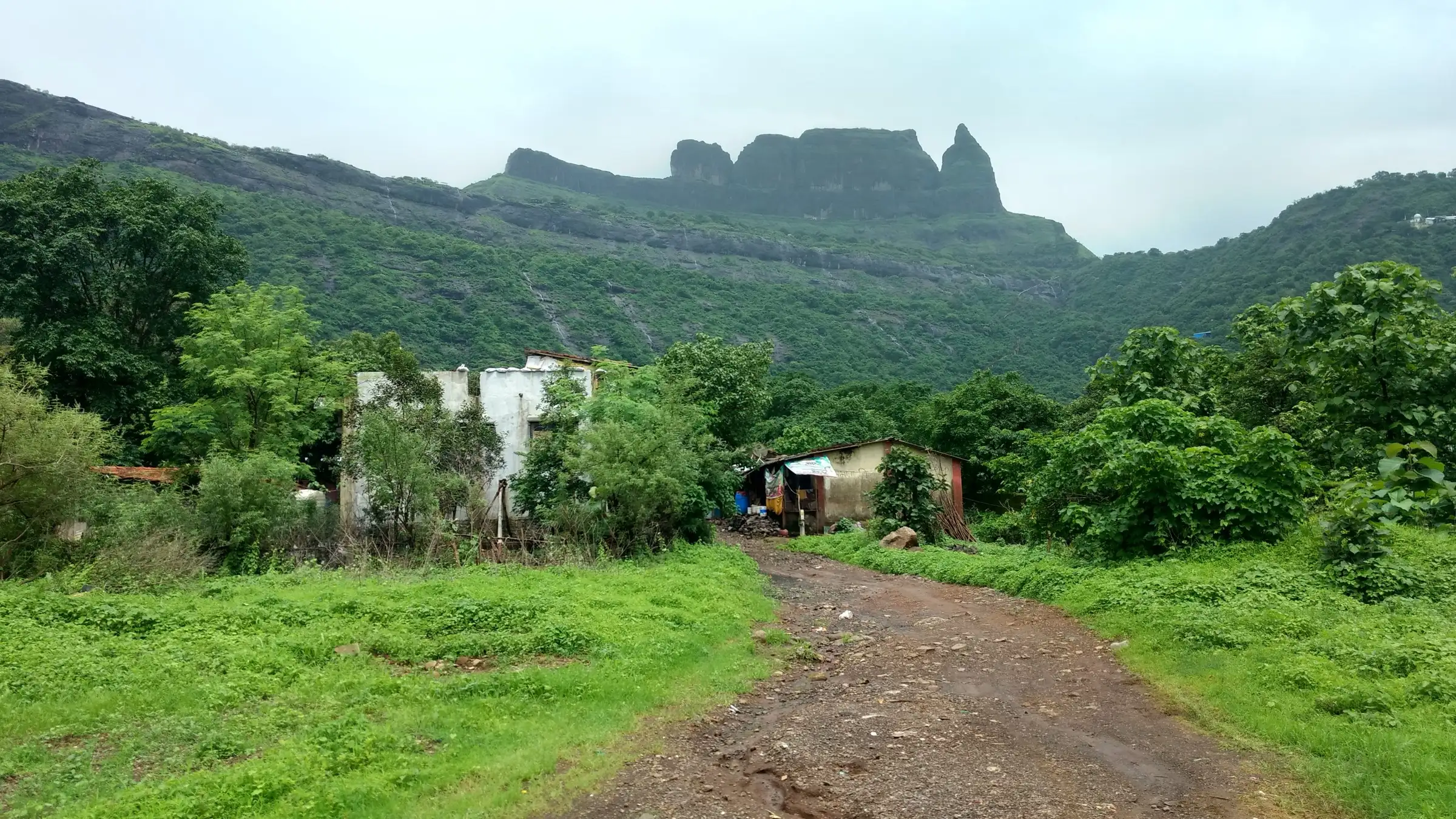 Green monsoon view of the Malanggad hill and its rock pinnacles from a village track in the valley