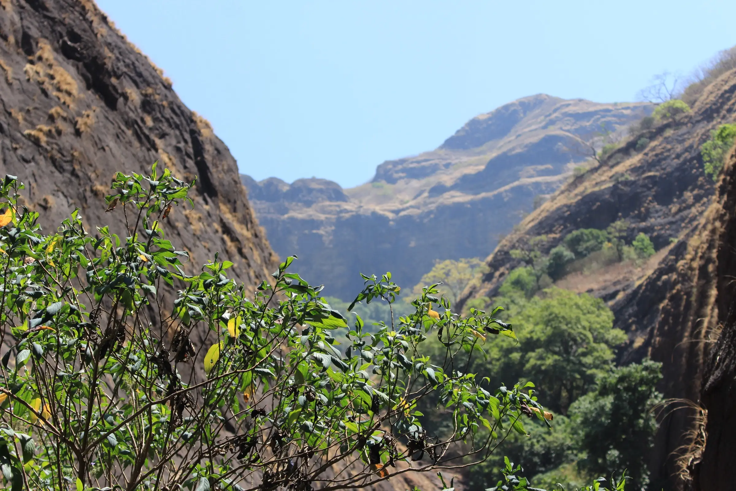 Looking down Plus Valley between steep brown rock walls, with green trees on the valley floor and a flat-topped Sahyadri ridge behind