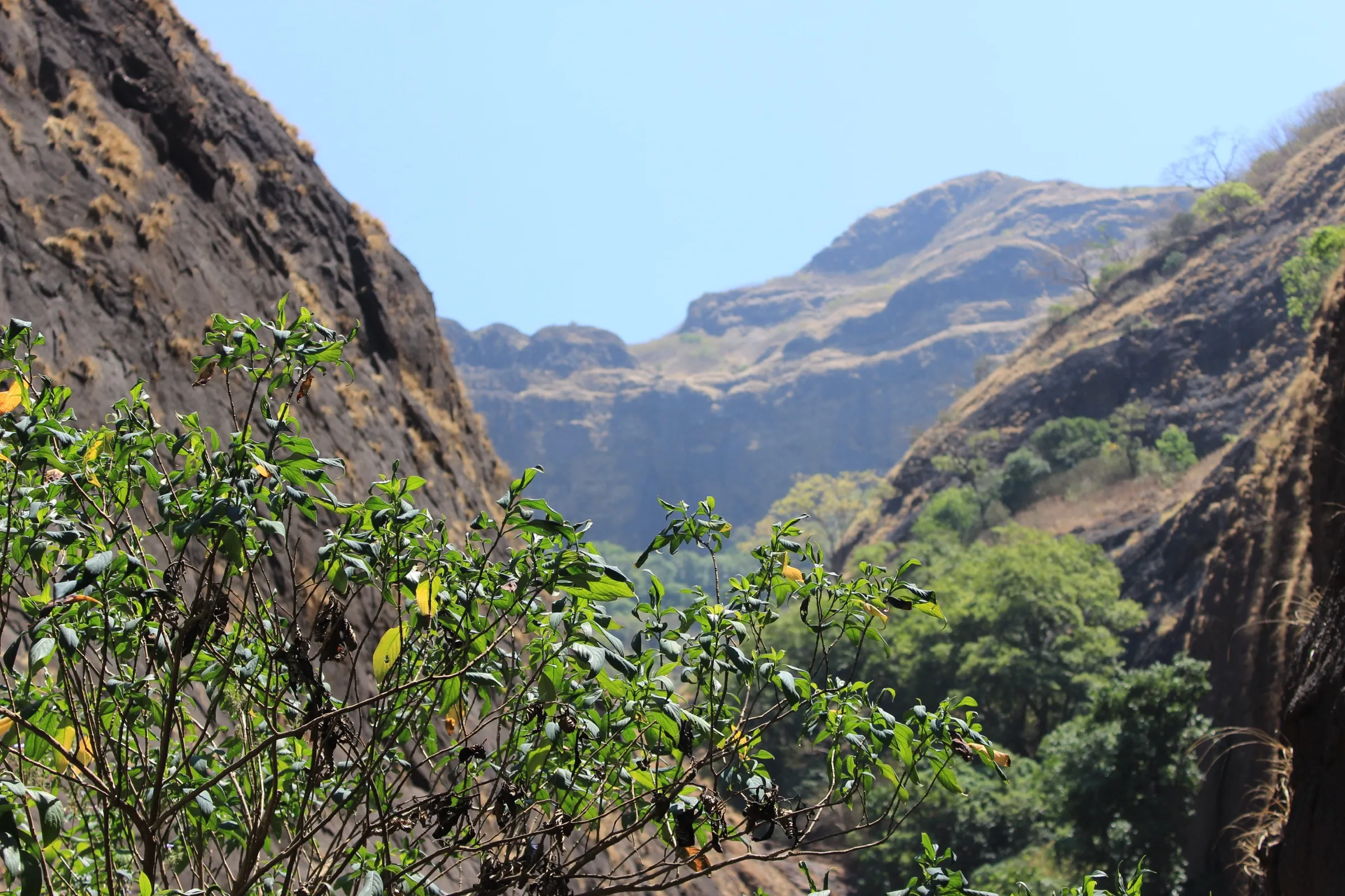 Looking down Plus Valley between steep brown rock walls, with green trees on the valley floor and a flat-topped Sahyadri ridge behind