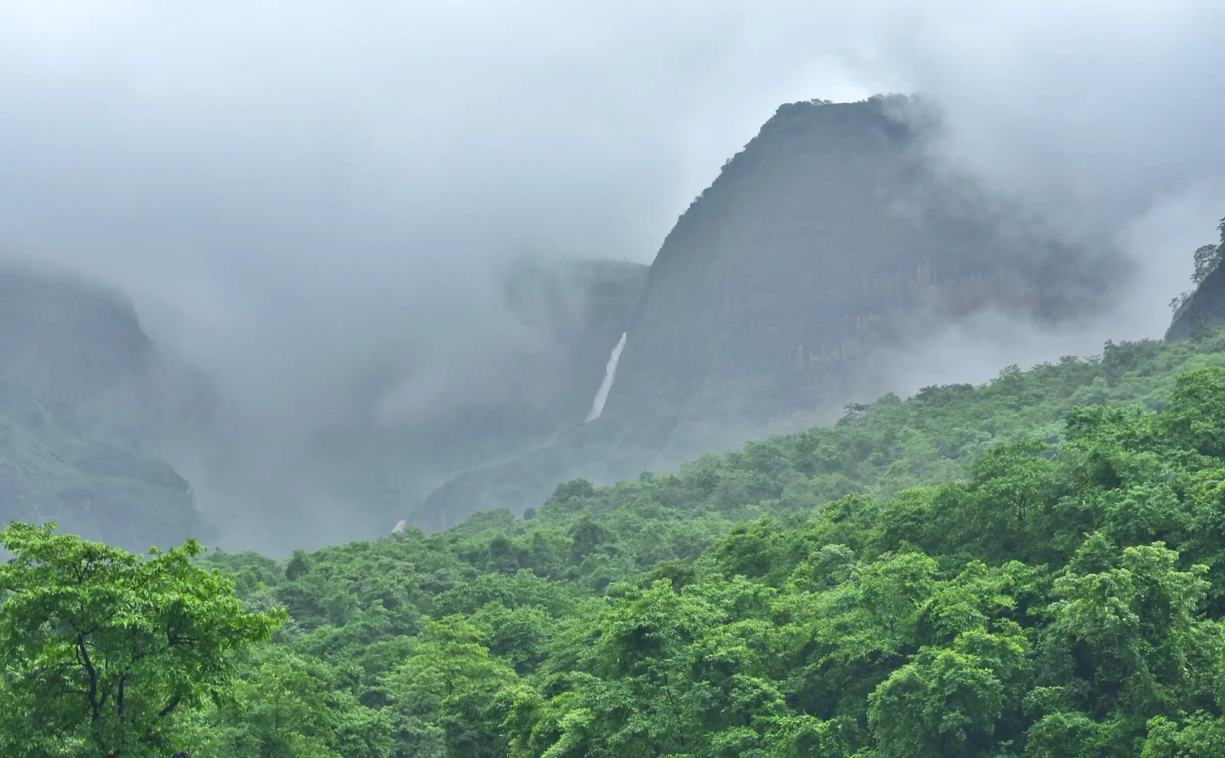 Devkund Waterfall falling as a thin white ribbon from a cloud-wrapped basalt cliff above green monsoon forest