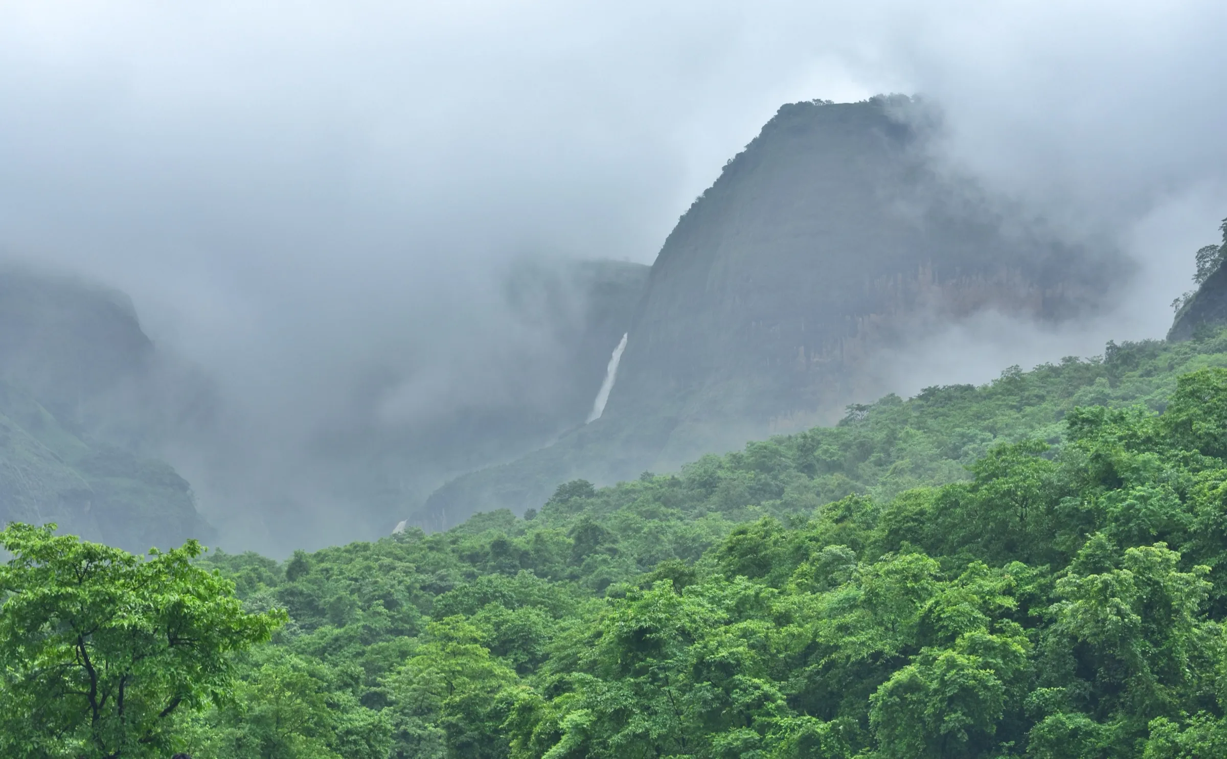 Devkund Waterfall falling as a thin white ribbon from a cloud-wrapped basalt cliff above green monsoon forest