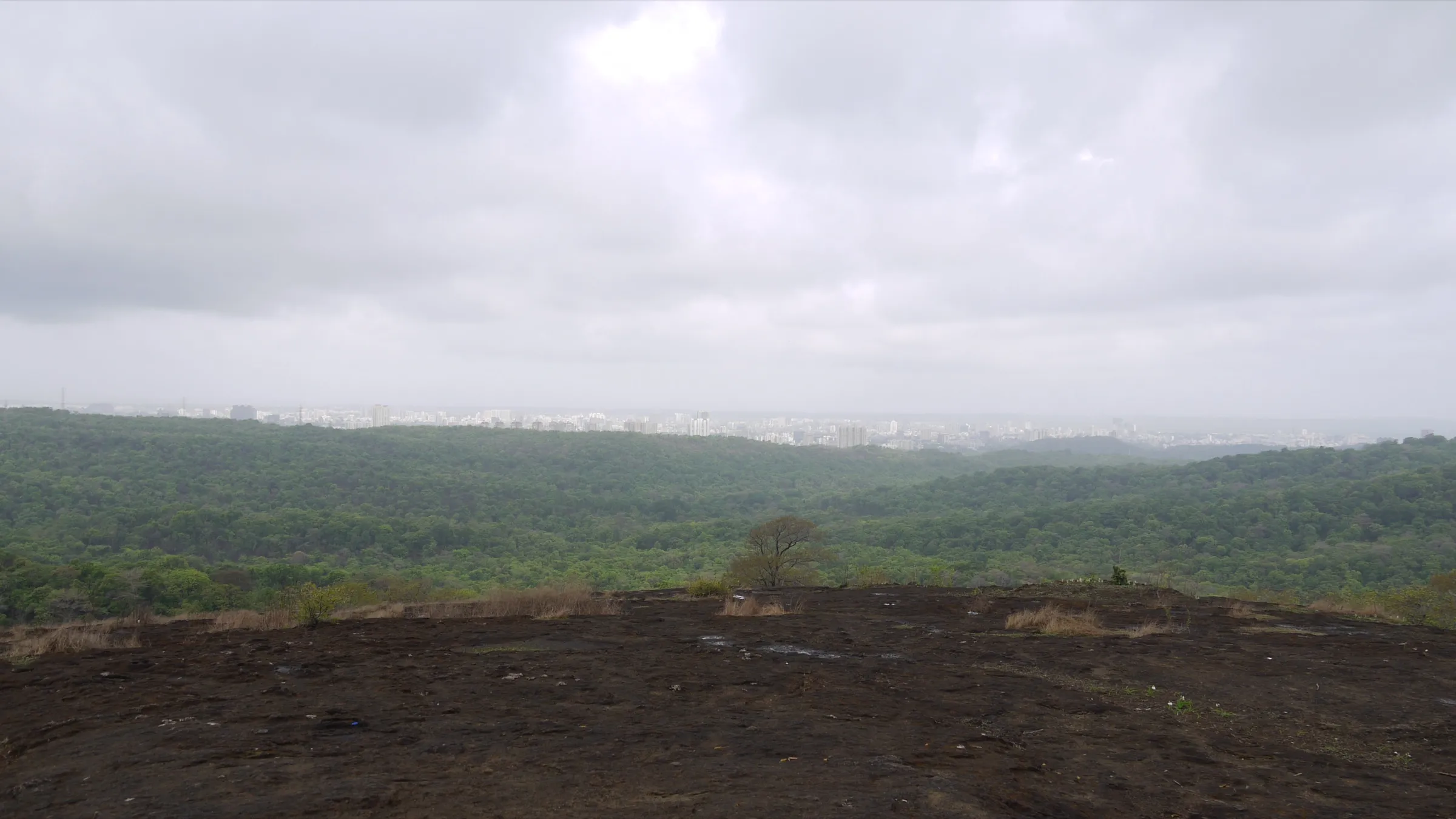 Bare dark rock plateau on the Kanheri hills looking over forested Sanjay Gandhi National Park towards the Mumbai skyline under monsoon cloud