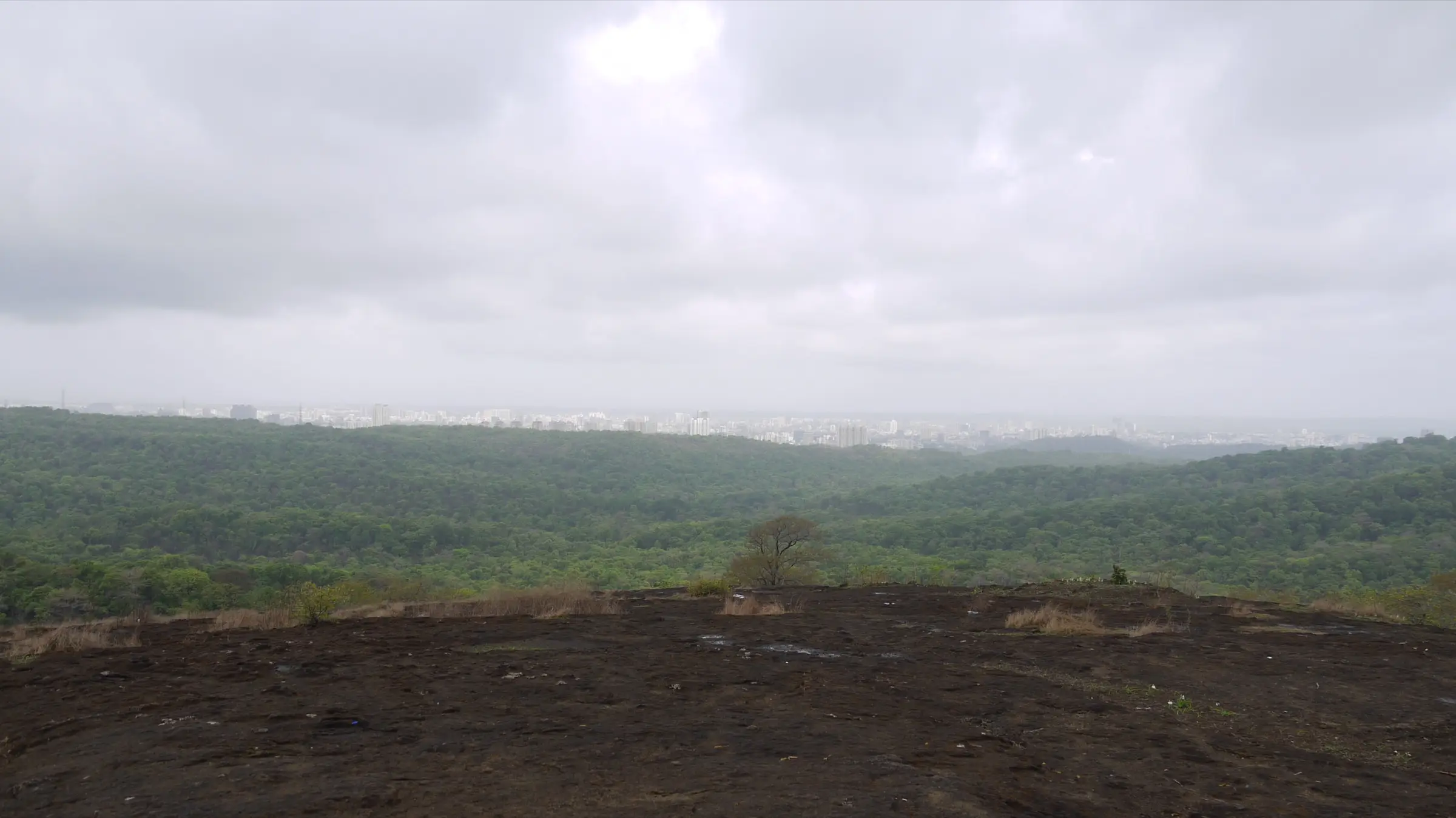 Bare dark rock plateau on the Kanheri hills looking over forested Sanjay Gandhi National Park towards the Mumbai skyline under monsoon cloud