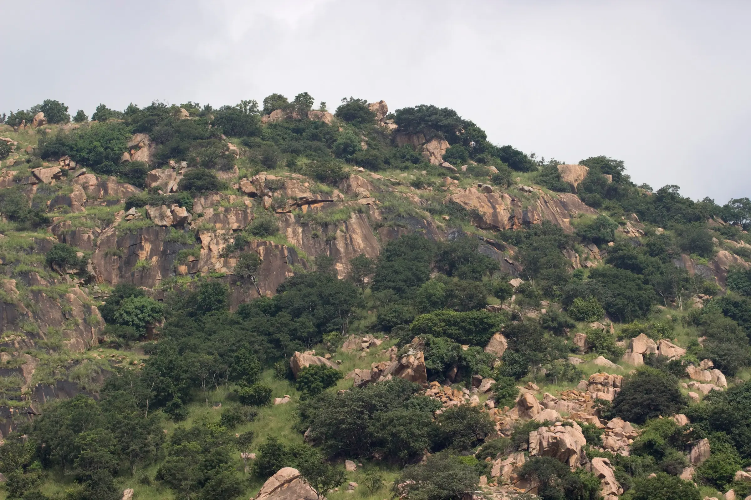 Rocky, tree-covered slopes and granite outcrops of Makalidurga under an overcast sky