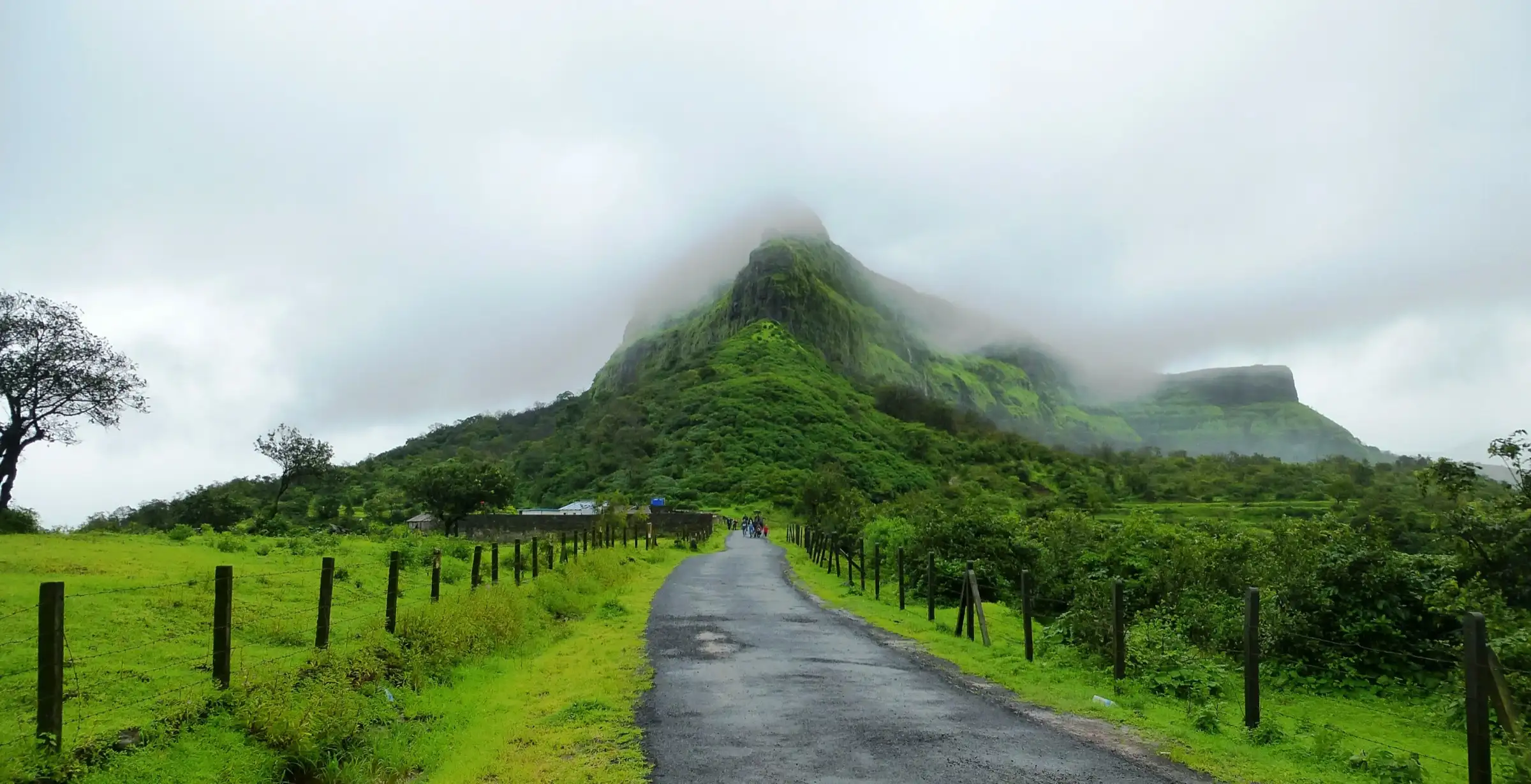 Wet village road between fenced green fields leading to a mist-capped Visapur hill in the monsoon, with trekkers walking ahead