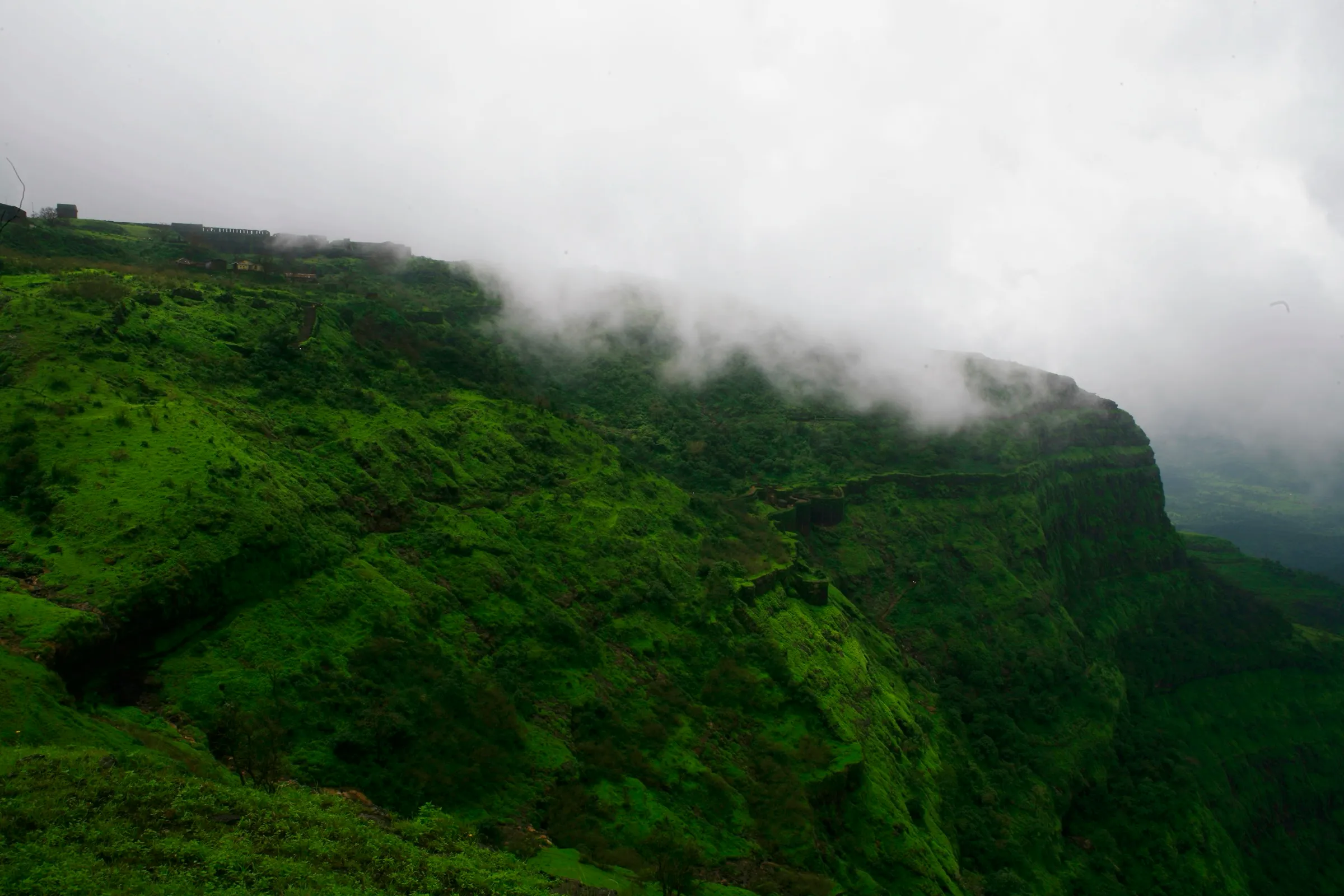 Raigad's long fort walls running along a green monsoon cliff edge, with mist rolling over the plateau