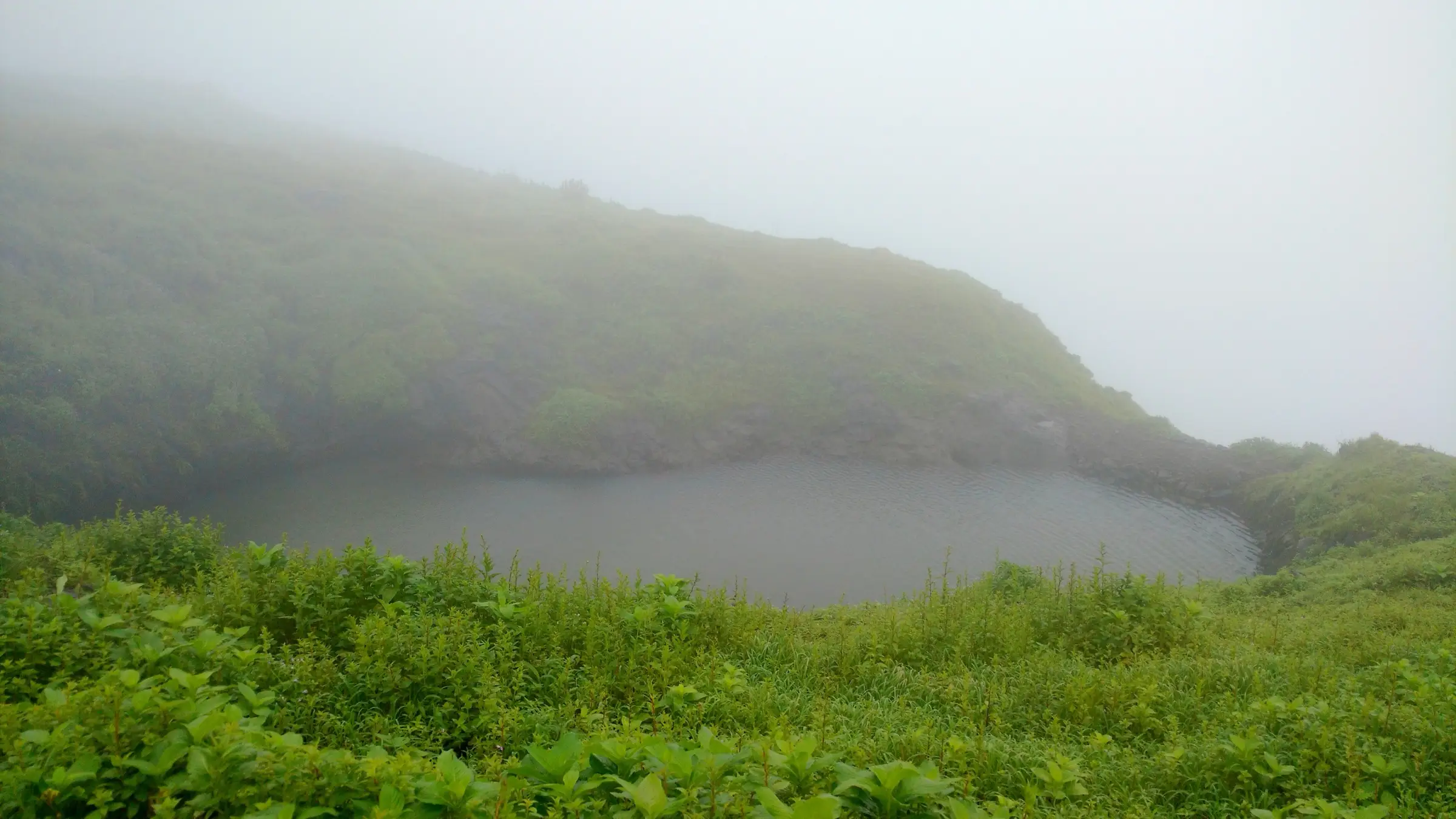 A rock-cut water tank on top of Kenjalgad surrounded by green monsoon vegetation in thick fog
