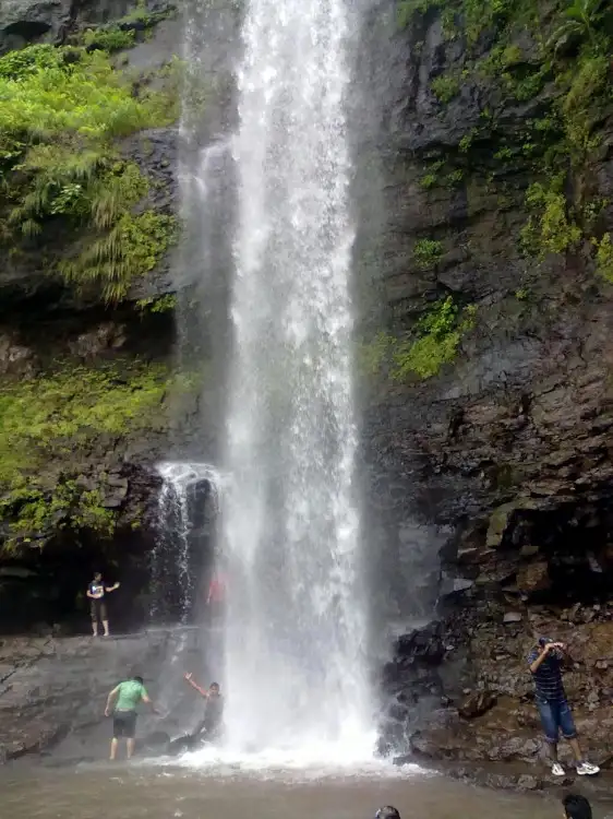 Tall monsoon waterfall at Siddhagad pouring down a dark basalt cliff with visitors at its base