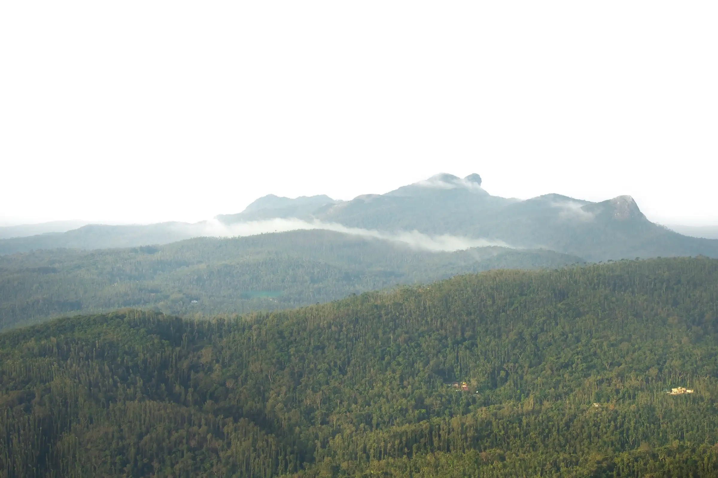 Forested Western Ghats hills and a ridge of peaks wrapped in a band of cloud, seen on the way up Mullayanagiri